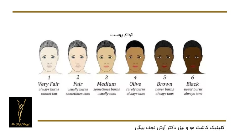 انواع پوست