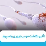 تاثیر کاشت مو بر اسپرم