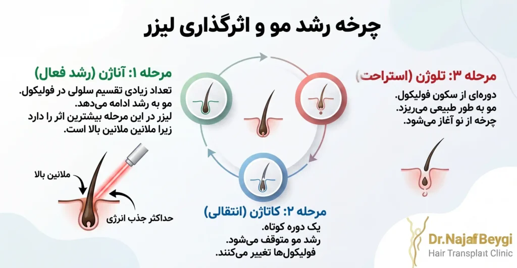 چرخه رشد مو و اهمیت آن در لیزر