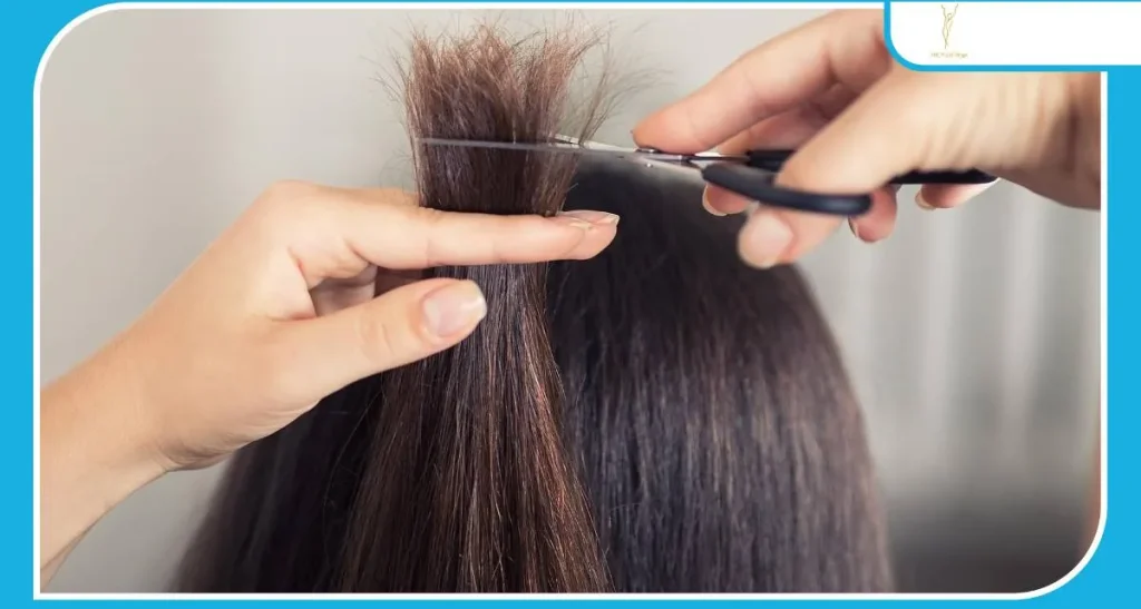 موخوره چیست و چگونه درمان میشود