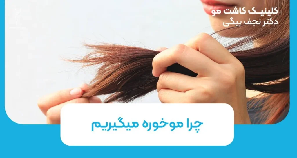 چرا موخوره میگیریم؟