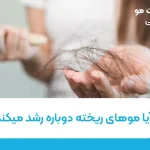 آیا موهای ریخته دوباره رشد میکند